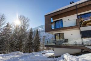 Penthouse Schmittenblick Top 5