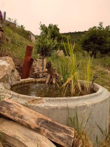 Sejours chez l'habitant Terre de Sienne : photos des chambres
