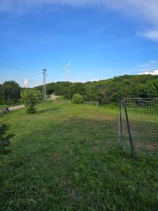 Хижа Младост