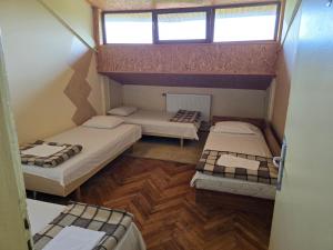 Хижа Младост