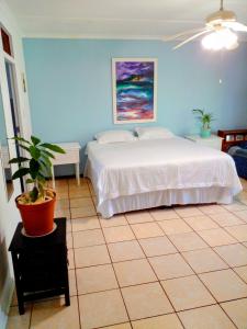 Peace Cottage - 4hvězdičkové hotely ve městě St Lucia