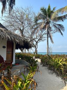 Hotel Isla Del Pirata