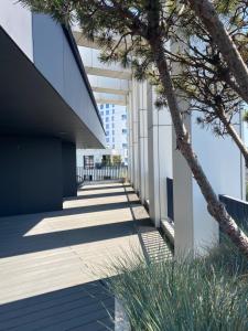 Portova Luxury Apartment