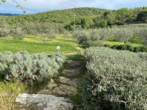Villa Rosa di Chianti