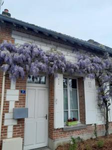 Maisons de vacances GITE, MAISON A LA CAMPAGNE ARDENNES, AISNE,MARNE : photos des chambres