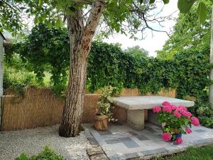 Spacious apartment QuAdria near Motovun