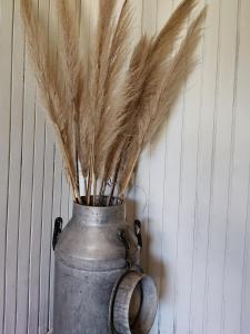 Alquiler de casa temporario en Suipacha "Lo de Juancho"