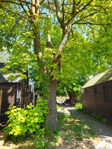 Morska Przystań Pilëce - Jacuzzi