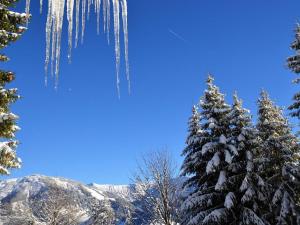 Appartements Appartement proche des pistes avec piscine, tennis et WiFi - FR-1-505-127 : photos des chambres