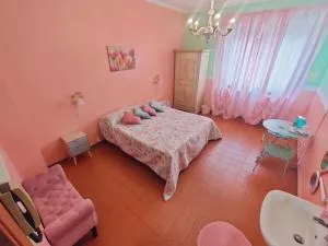 Hotel Serenella - None