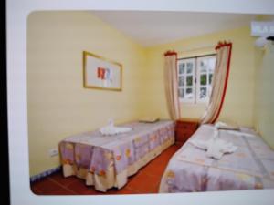 Nice flat in a beautiful condo