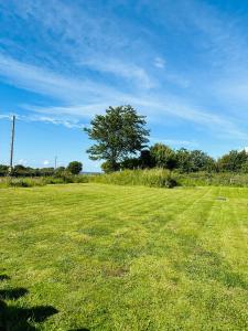 White Horses Anglesey