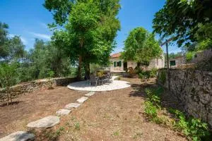 The Old One by All About Paxos - Arvanitakaíïka