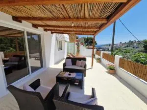 Pine View - 瓦西里亚斯