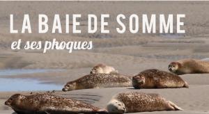Maisons de vacances Nid nature et douceur a Eu - Proche du Treport et de la Baie de Somme : photos des chambres