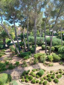 le boreal bord de mer avec piscine
