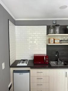 Moderno Monoambiente Botanico 2