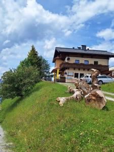 Sonnseit`n Hochmaisalm