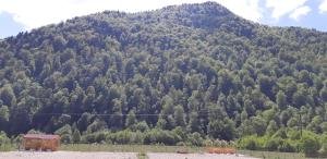 Camping Pentru Rulote, Auto Rulote, Corturi Personale La Barbosu in Lepsa, Vrancea