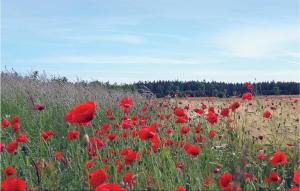 1 Bedroom Cozy Home In Klintehamn