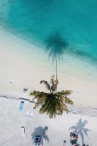 Silver Oasis Maldives