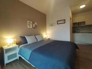 Studio Apartman Runko