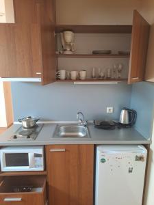 Family Studio 407, Villa park