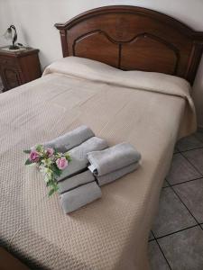 La home del melograno