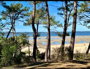 LOCEAN vue bassin 1ère ligne Plage Pereire vue mer