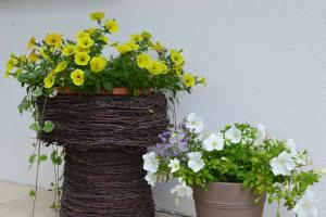 Leśny Zakątek Kownatki 42