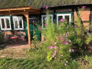 Haus an Fluss und See - Kumlosen