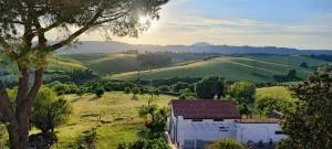 All'ombra del pino ALLOGGIO TURISTICO - Monte Maggiore