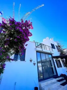 Bodrum Yalıkavak Villa - 迪迪姆