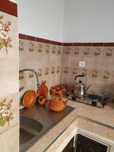 Riad Le Petit Cactus -Familial et Privatif-