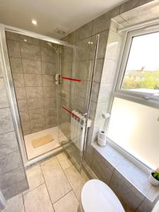 Studio Flat near Waterside Theatre