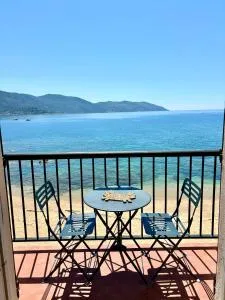 A 20min d AJACCIO, Grand studio 3 personnes - pieds dans l'eau - accès direct plage - vue mer exceptionnelle - 提乌克西亚