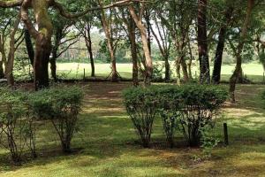 Appartements Quiet renovated nest with a nice view of the golf : photos des chambres