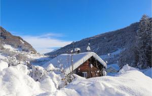 Großes Ferienhaus Dalaas