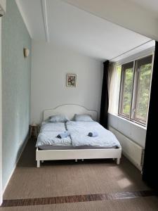 Vakantiehuis midden in de natuur