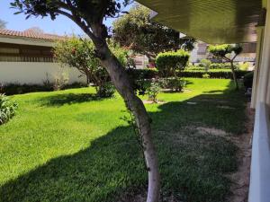 Apartamento 3 habitaciones Playa de Gandia