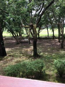 T2 près de la plage et du Club House du Golf