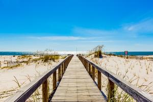 Plantation Palms #6205