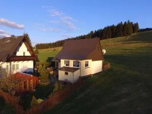 Modernes Ferienhaus in Carlsfeld mit Grill und Garten - Schönheide