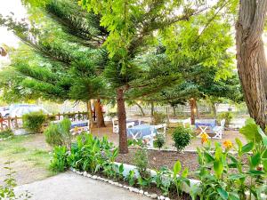 Garden Villa Naza