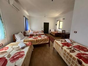 Prek bjeshka guesthouse