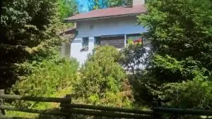 Ferienhaus Peklo für 6 Personen - Bílý Potok