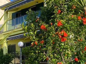Seaside apartments with a swimming pool Poljica, Trogir - 18634