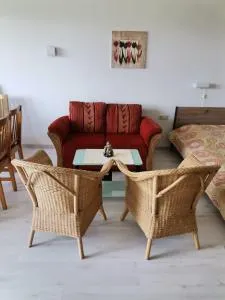 Rolligerechtes Appartement mit Terrasse und Garten - Traitsching