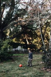 Treehouse Southern Highlands