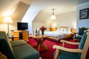 Superior Studio room in Hotel Pod Ciżemką